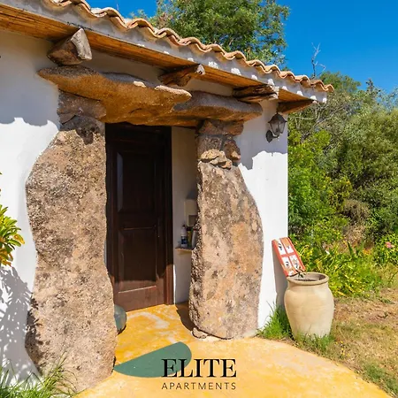 House Sandalia 1 With Jacuzzi Olbia