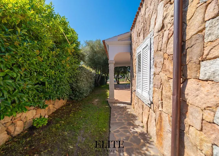 Luxury Oasis Pool & Jacuzzi *