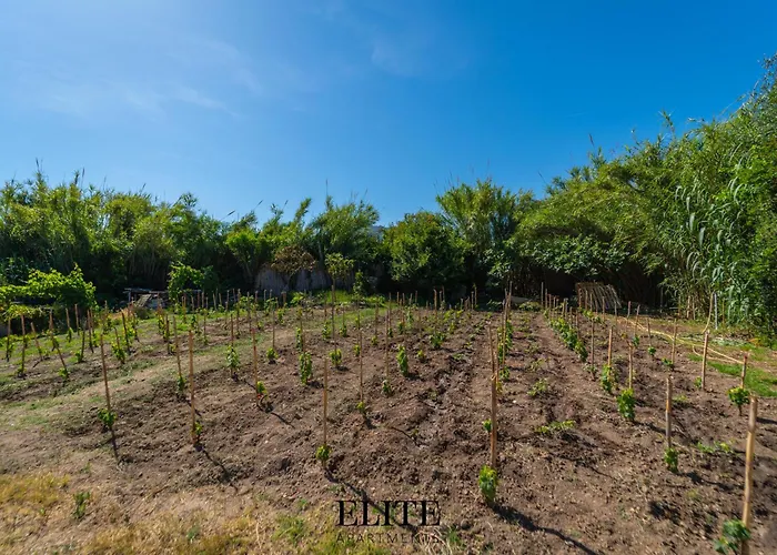 Luxury Oasis Pool & Jacuzzi Villa