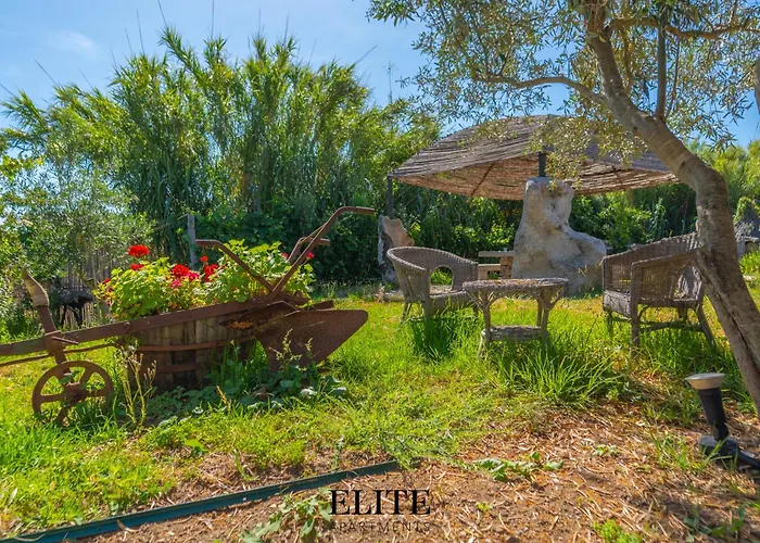 Villa Luxury Oasis Pool & Jacuzzi Olbia